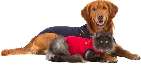 Sleutel Verdwijnen Woordvoerder Kat | Medical Pet Shirt | Dierenkliniek de Kempen